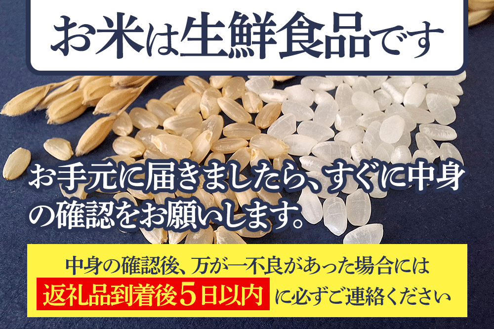 〈令和7年産〉【白米】サキホコレ 10kg (5kg×2袋) 秋田県産 特別栽培米 令和7年産 お米【1回のみお届け】