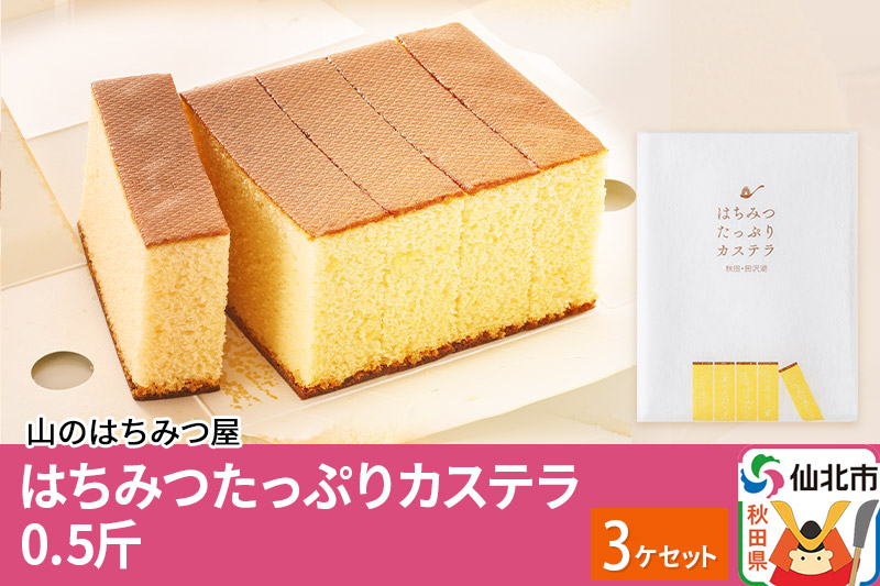 はちみつたっぷりカステラ 0.5斤 3個 セット 山のはちみつ屋