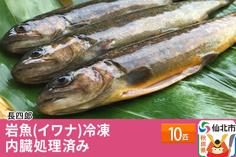 岩魚（イワナ）冷凍10匹 内臓処理済み 10匹