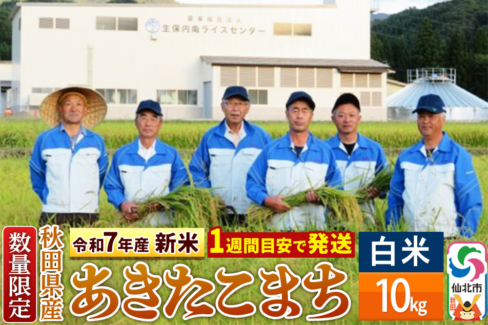 ＜令和7年産 新米＞【白米】あきたこまち 10kg（10kg×1袋）精米  秋田県仙北市産 10キロ