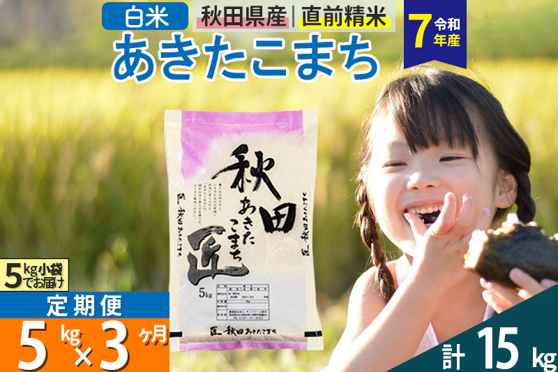 【白米】＜令和7年産＞ 《定期便3ヶ月》秋田県産 あきたこまち 5kg (5kg×1袋)×3回 5キロ お米 匠