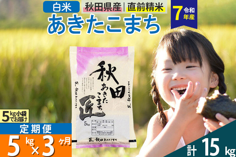 【白米】＜令和7年産＞ 《定期便3ヶ月》秋田県産 あきたこまち 5kg (5kg×1袋)×3回 5キロ お米 匠  [サンファーム西木]