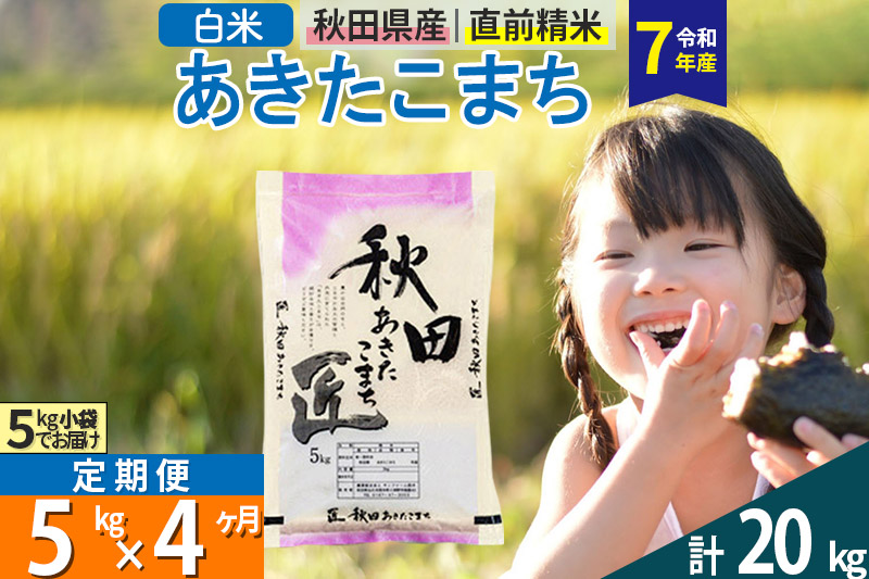 【白米】＜令和7年産＞ 《定期便4ヶ月》秋田県産 あきたこまち 匠 5kg (5kg×1袋)×4回 5キロ お米