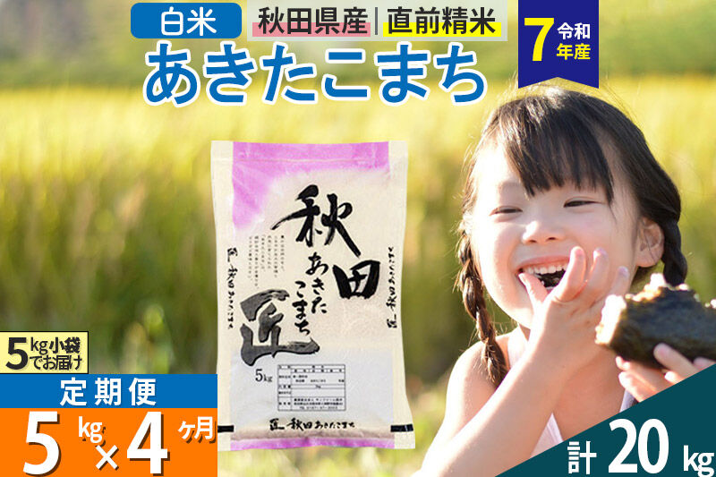【白米】＜令和7年産＞ 《定期便4ヶ月》秋田県産 あきたこまち 5kg (5kg×1袋)×4回 5キロ お米 匠  [サンファーム西木]
