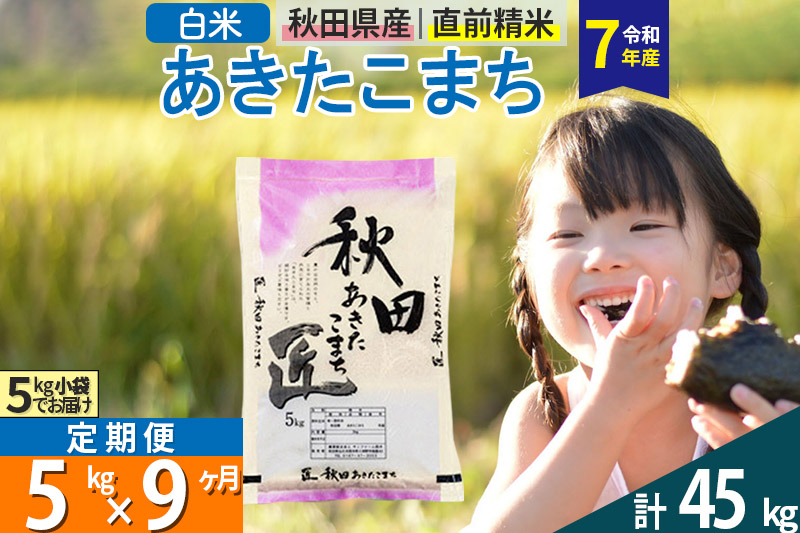【白米】＜令和7年産＞ 《定期便9ヶ月》秋田県産 あきたこまち 匠 5kg (5kg×1袋)×9回 5キロ お米