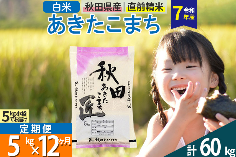 【白米】＜令和7年産＞ 《定期便12ヶ月》秋田県産 あきたこまち 5kg (5kg×1袋)×12回 5キロ お米 匠