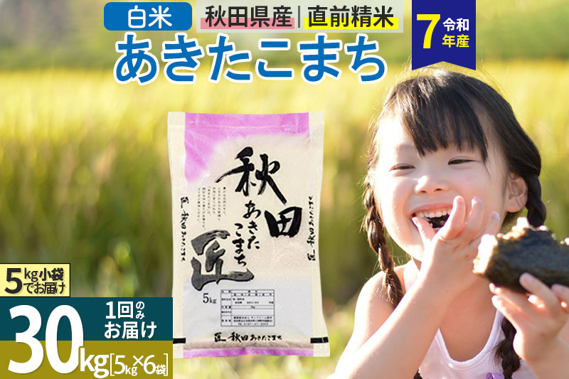 【白米】＜令和7年産＞ 秋田県産 あきたこまち 匠 30kg (5kg×6袋) 30キロ お米