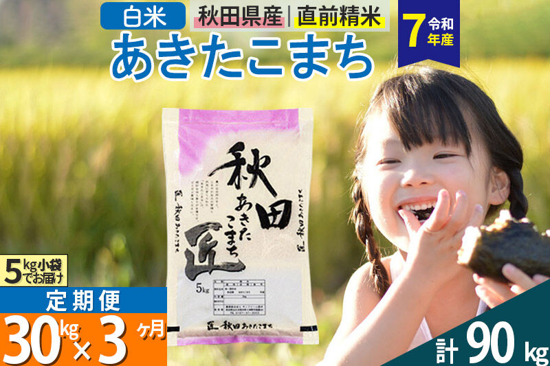 【白米】＜令和7年産＞ 《定期便3ヶ月》秋田県産 あきたこまち 30kg (5kg×6袋)×3回 30キロ お米 匠