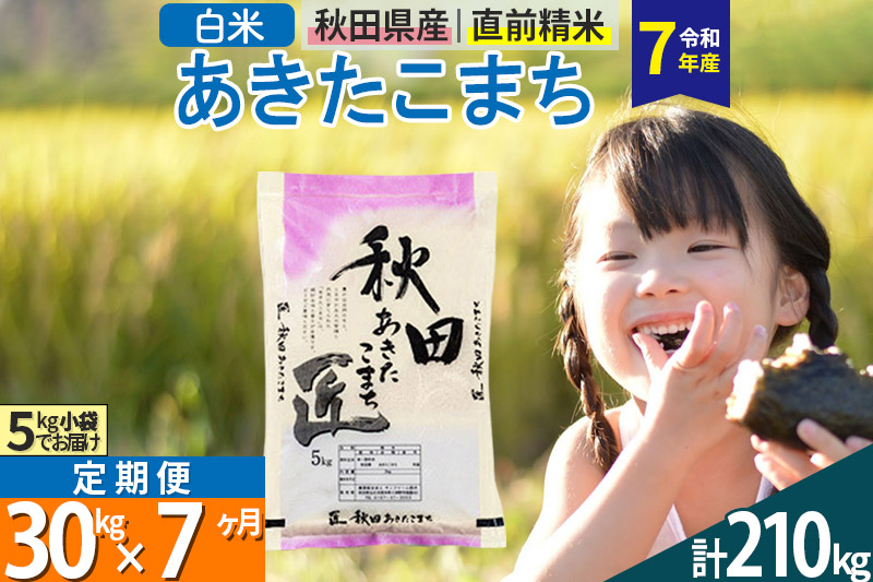 【白米】＜令和7年産＞ 《定期便7ヶ月》秋田県産 あきたこまち 匠 30kg (5kg×6袋)×7回 30キロ お米