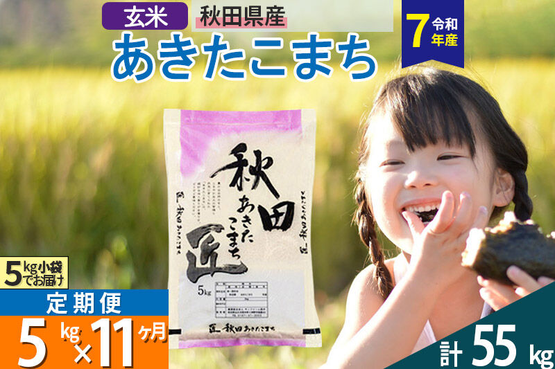 【玄米】＜令和7年産＞ 《定期便11ヶ月》秋田県産 あきたこまち 5kg (5kg×1袋)×11回 5キロ お米 匠