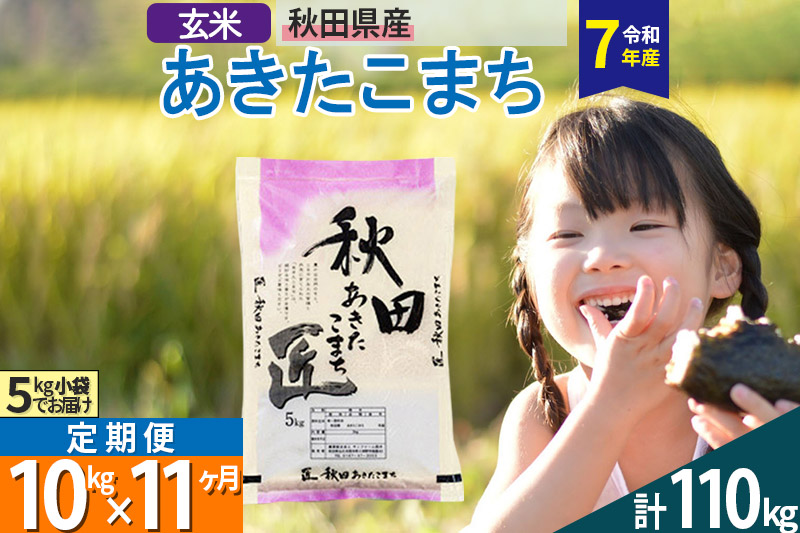 【玄米】＜令和7年産＞ 《定期便11ヶ月》秋田県産 あきたこまち 匠 10kg (5kg×2袋)×11回 10キロ お米