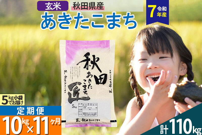 【玄米】＜令和7年産＞ 《定期便11ヶ月》秋田県産 あきたこまち 10kg (5kg×2袋)×11回 10キロ お米 匠  [サンファーム西木]