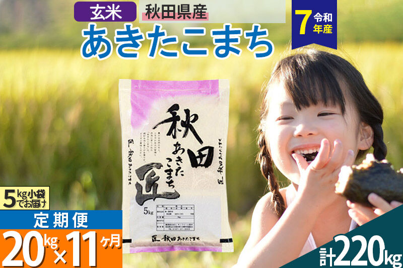 【玄米】＜令和7年産＞ 《定期便11ヶ月》秋田県産 あきたこまち 20kg (5kg×4袋)×11回 20キロ お米 匠  [サンファーム西木]
