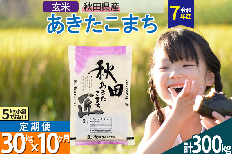 【玄米】＜令和7年産＞ 《定期便10ヶ月》秋田県産 あきたこまち 30kg (5kg×6袋)×10回 30キロ お米 匠  [サンファーム西木]