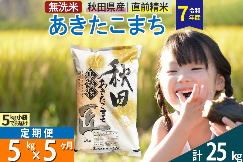 【無洗米】＜令和7年産＞《定期便5ヶ月》秋田県産 あきたこまち 匠 5kg (5kg×1袋) ×5回 5キロ お米