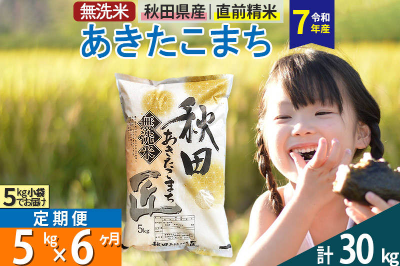 【無洗米】＜令和7年産＞《定期便6ヶ月》秋田県産 あきたこまち 匠 5kg (5kg×1袋) ×6回 5キロ お米