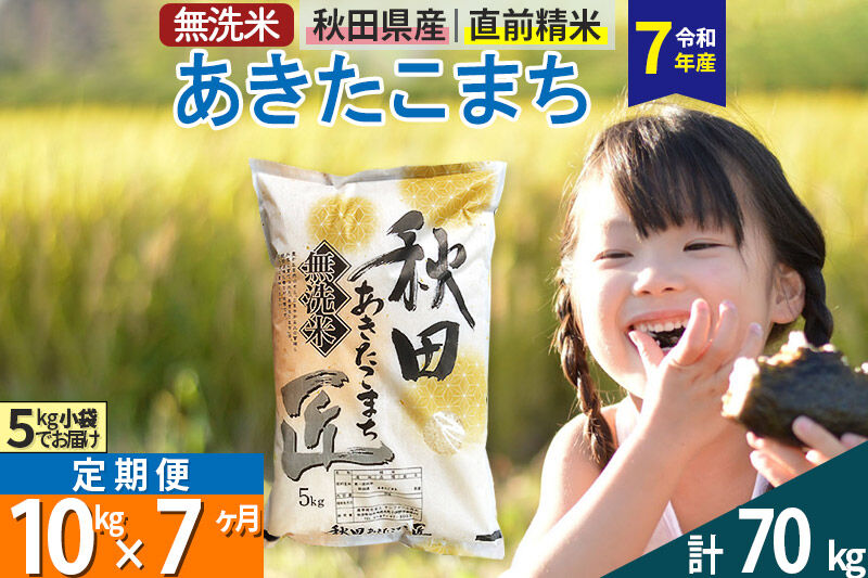 【無洗米】＜令和7年産＞《定期便7ヶ月》秋田県産 あきたこまち 10kg (5kg×2袋) ×7回 10キロ お米 匠  [サンファーム西木]