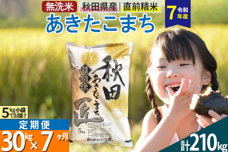 【無洗米】＜令和7年産＞《定期便7ヶ月》秋田県産 あきたこまち 30kg (5kg×6袋) ×7回 30キロ お米 匠
