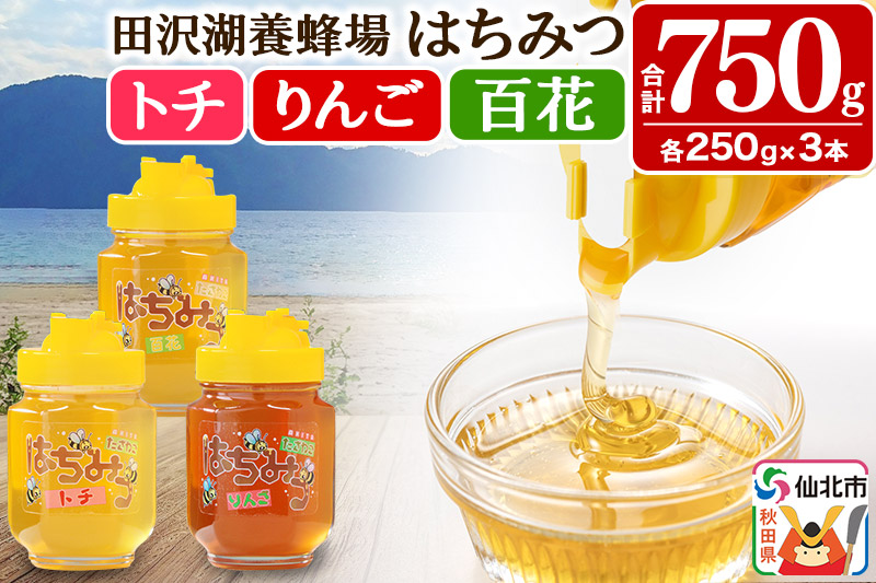 秋田県産はちみつ（トチ・リンゴ・百花）250g×各1本 合計750g 化粧箱入り 詰め合わせセット 田沢湖養蜂場