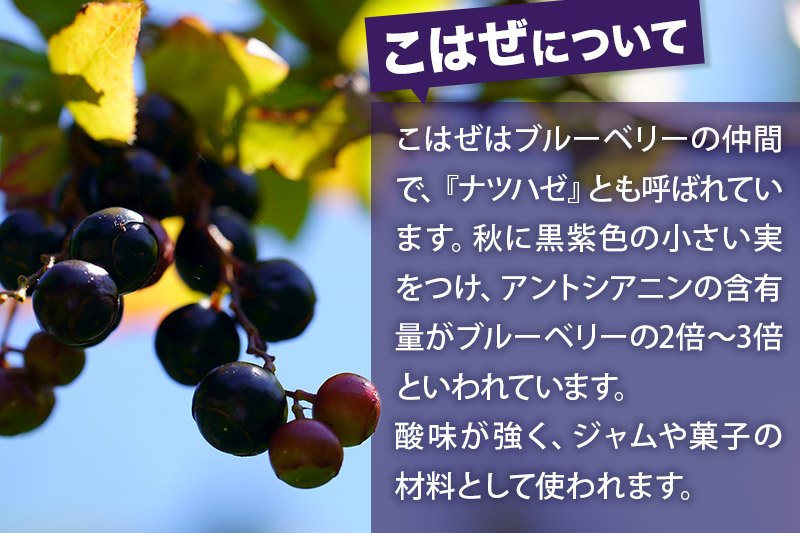 こはぜ酢 200ml×1本（上小阿仁村産こはぜ使用）果実酢 フルーツ お酢