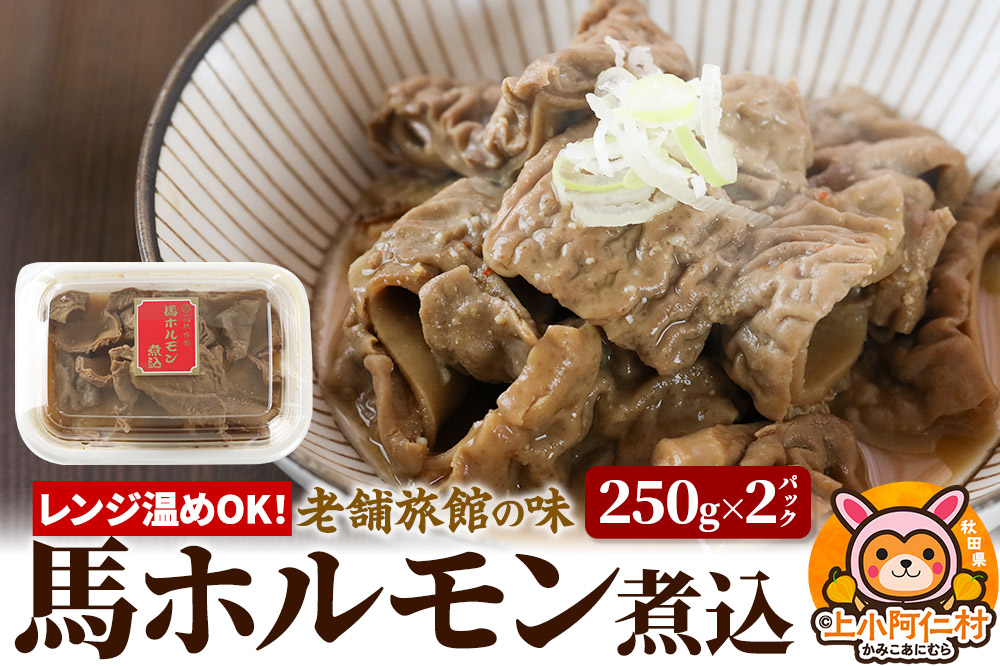 レンジ温めOK！高橋旅館 馬ホルモン煮込 500g(250g×2)