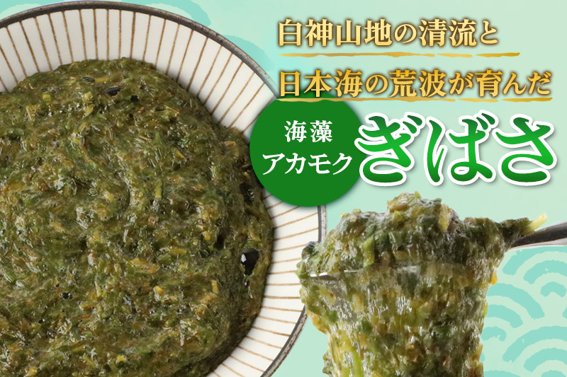 ぎばさ(アカモク) 100gパック入り×20個 計2kg