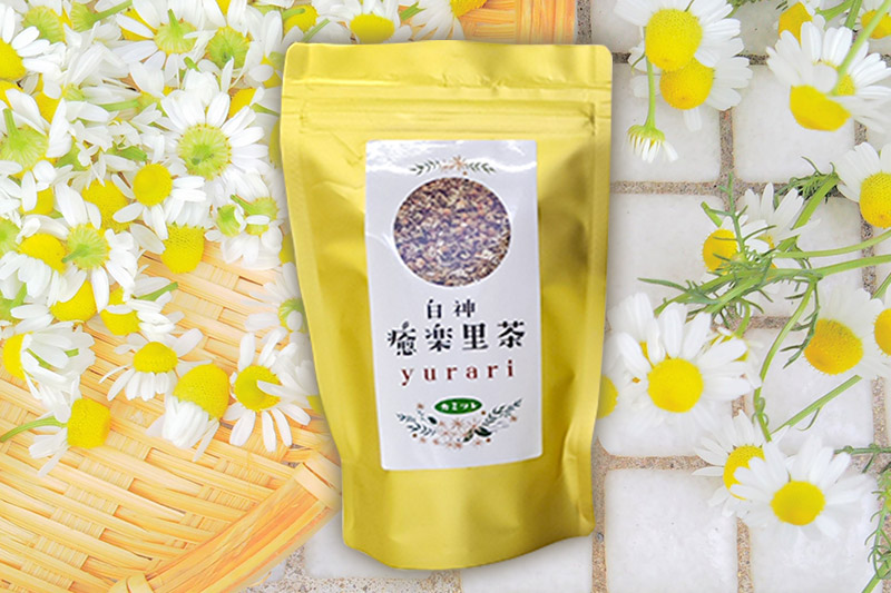 ハーブティ 白神癒楽里茶カミツレ茶（5パック入り）×4袋 ＜クロネコゆうパケット＞ カモミールティー 秋田県 八峰町