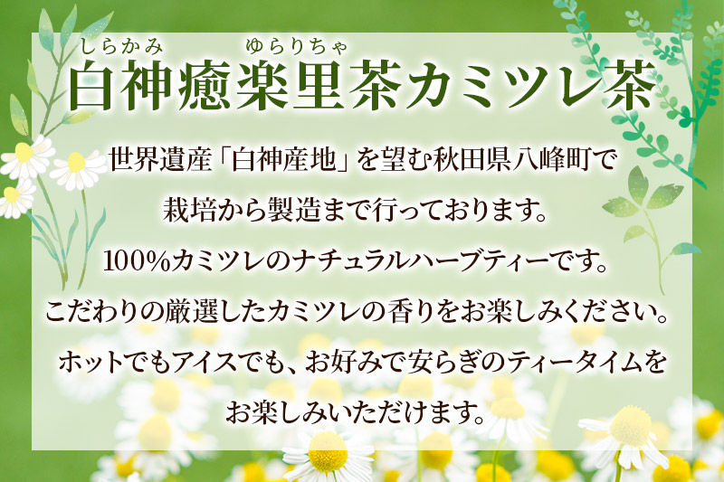ハーブティ 白神癒楽里茶カミツレ茶（5パック入り）×5袋 カモミールティー 秋田県 八峰町