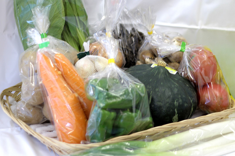 世界遺産「白神山地」の自然で採れた旬の野菜詰め合わせ