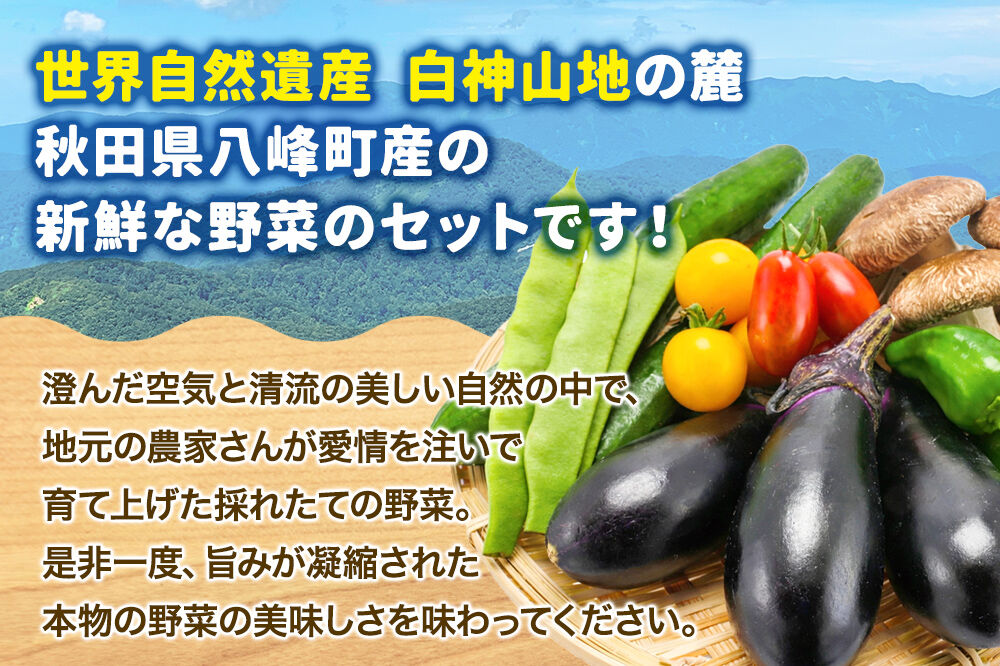 野菜詰合せ  【先行受付】《定期便3回 隔月 7月／9月／11月にお届け》6～9品程度 （計8～10kg程度）自然で採れた旬の野菜！！世界遺産「白神山地」の旬野菜 [白神山地 世界遺産 定期便 野菜 旬 セット 詰め合わせ 詰合せ 新鮮 季節 おまかせ やさい 国産 産直]