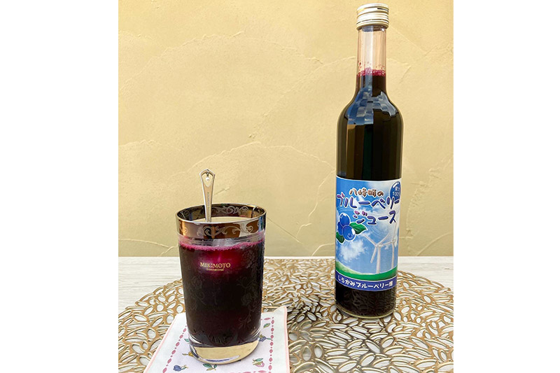 ストレート果汁100％ブルーベリージュース 500ml×2本