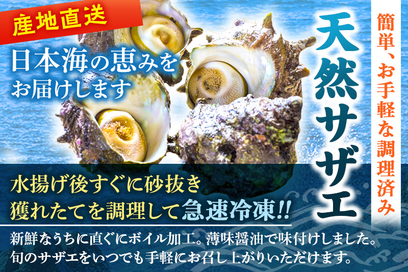 サザエ 薄しょうゆ味 冷凍 ボイル 1.8kg（900g×2パック）秋田県八峰町産