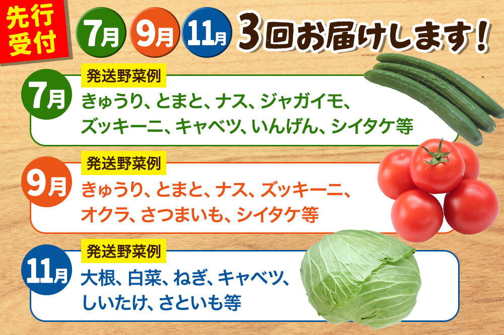 野菜詰合せ  【先行受付】《定期便3回 隔月 7月／9月／11月にお届け》6～9品程度 （計8～10kg程度）自然で採れた旬の野菜！！世界遺産「白神山地」の旬野菜 [白神山地 世界遺産 定期便 野菜 旬 セット 詰め合わせ 詰合せ 新鮮 季節 おまかせ やさい 国産 産直]