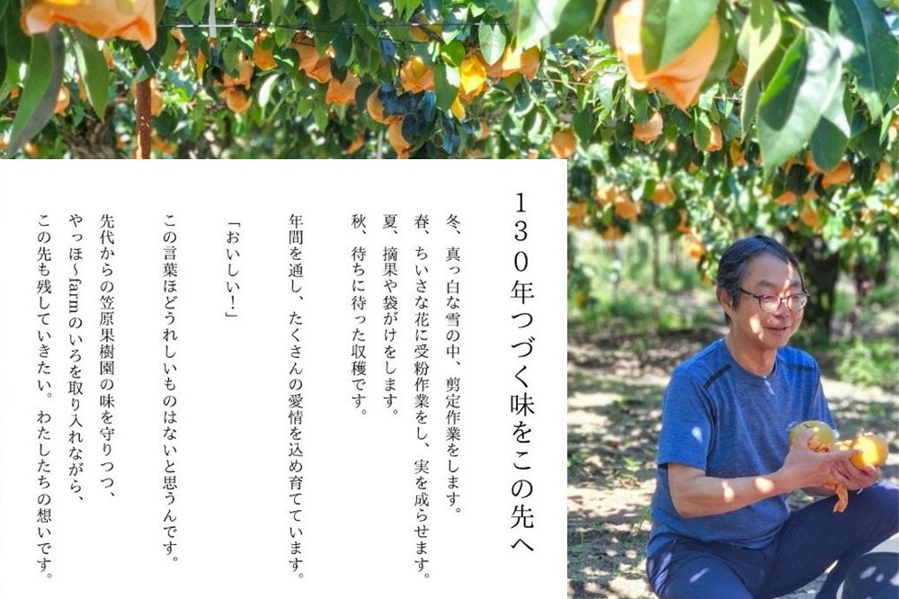 梨 ジュース やっほ～farm なしのジュース180ml 6本セット 秋田県八峰町