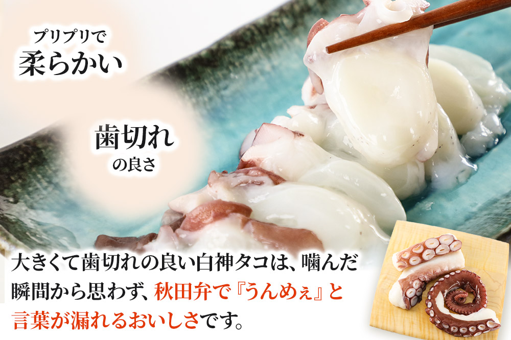 白神タコ ボイル 約1kg（2～3パック）冷凍 秋田県八峰町沖産