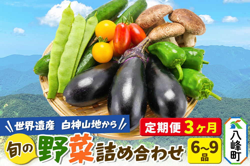 野菜詰合せ  【先行受付】《定期便3回 隔月 7月／9月／11月にお届け》6～9品程度 （計8～10kg程度）自然で採れた旬の野菜！！世界遺産「白神山地」の旬野菜 [白神山地 世界遺産 定期便 野菜 旬 セット 詰め合わせ 詰合せ 新鮮 季節 おまかせ やさい 国産 産直]