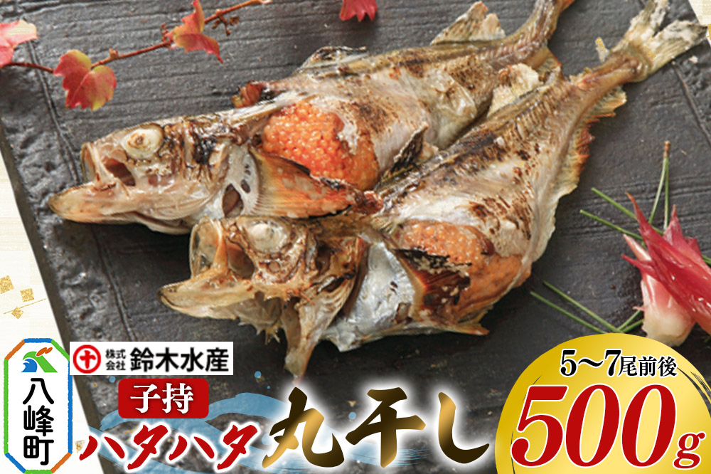 子持 ハタハタ 丸干し 5～7尾前後 500g はたはた 鰰 子持 はたはた 子持ハタハタ 丸干し ぶりこ 鈴木水産 秋田県 八峰町
