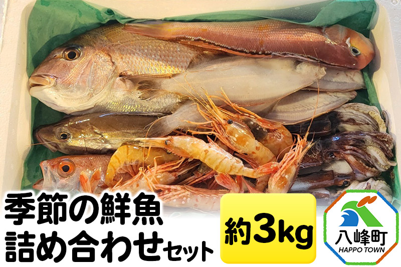季節の鮮魚詰め合わせセット 約3kg 高級魚 鮮度抜群