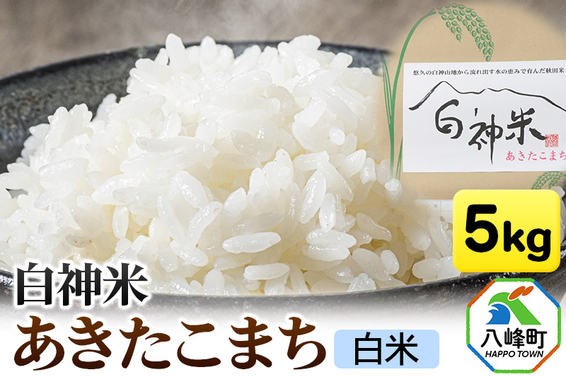 白神米 あきたこまち 秋田県産 5kg【白米】令和7年産