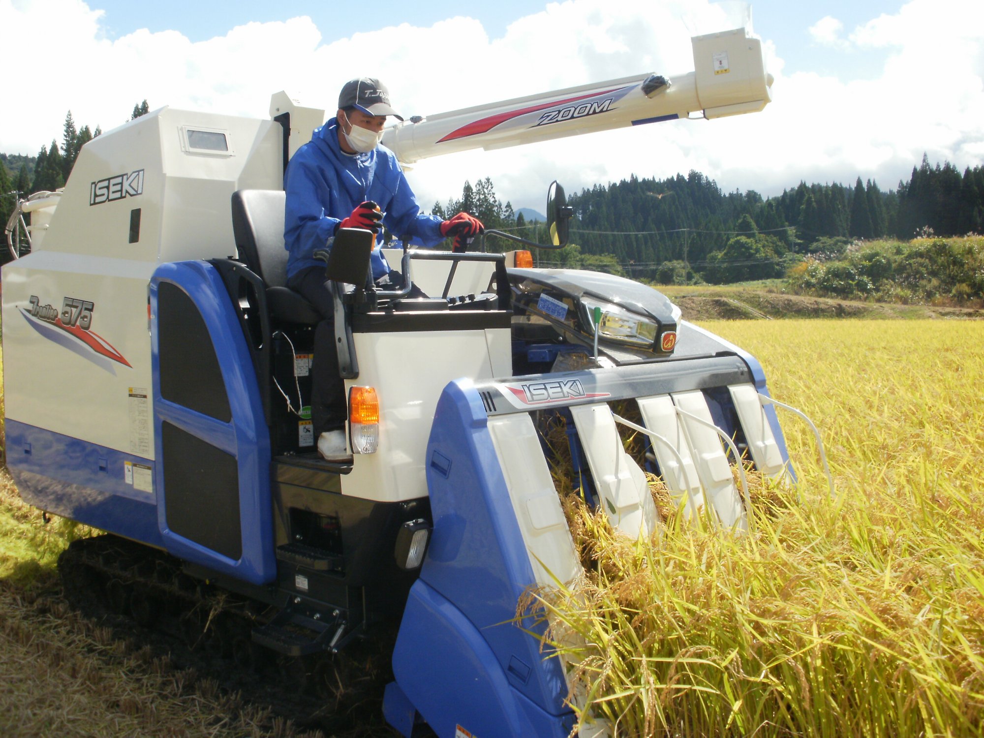 五城目町杉沢産　清流米　あきたこまち10kg（精米）