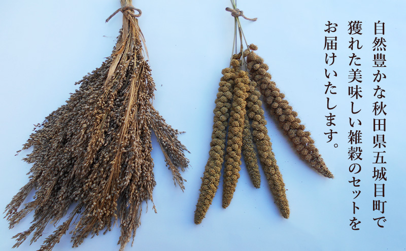 五城目町産 雑穀セット ヒエ・アワ・キビ 各1kg 雑穀 雑穀米 秋田県産 お米 ご飯 ライス rice 栄養 健康【配達不可：沖縄県・離島】