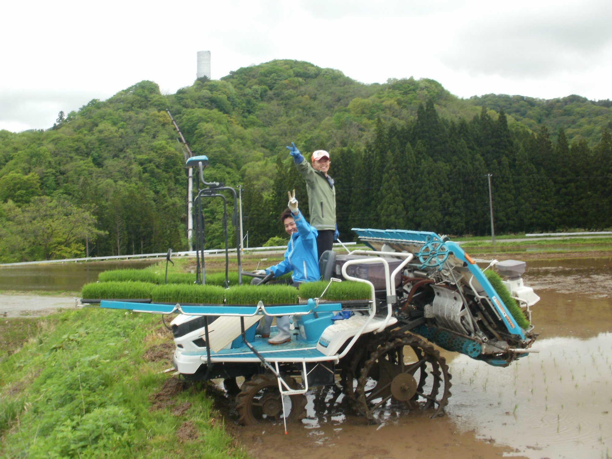 五城目町杉沢産　清流米　あきたこまち10kg（精米）