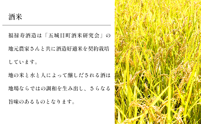 福禄寿酒造 福禄寿上選樽酒（1斗）