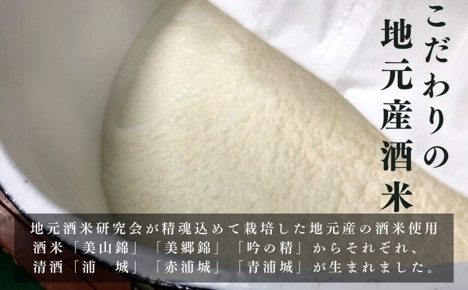 【生酒】純米吟醸無濾過原酒「青浦城」生＆雪景色（にごり酒）飲み比べ2本セット  720ml 各1本