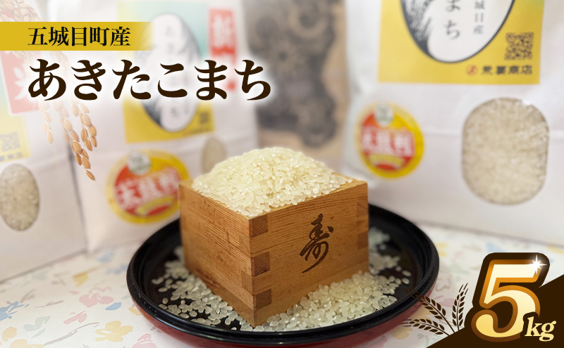 五城目町産 あきたこまち 5kg