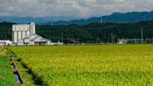 定期便【令和7年産】あきたこまち10kg×2ヶ月