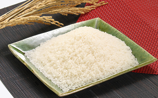 あきたこまち無洗米5kg【配送不可地域：離島・沖縄県】