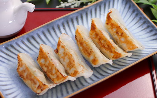 UMAUMAグルテンフリー野菜ギョーザ120個セット【配送不可地域：離島・沖縄県】