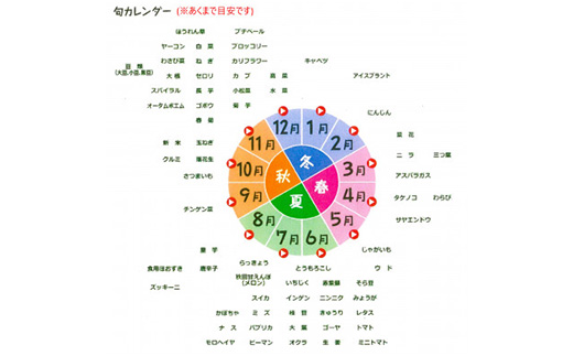 【数量限定】大潟村産おまかせ野菜セット【5～10品目】【配送不可地域：離島・沖縄県・九州】