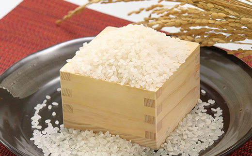 あきたこまち精米5kg【配送不可地域：離島・沖縄県】